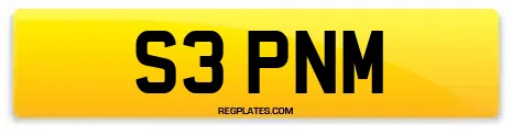 S3 PNM