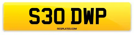 S30 DWP