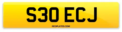 S30 ECJ