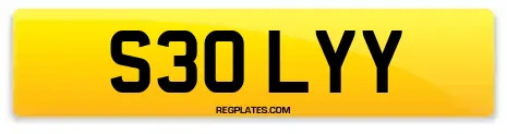 S30 LYY