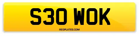 S30 WOK