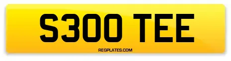 S300 TEE