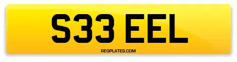 S33 EEL