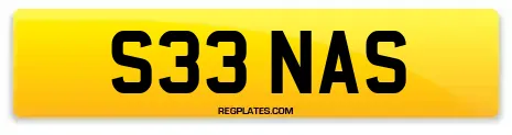S33 NAS