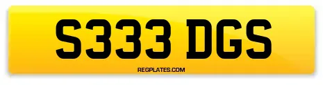 S333 DGS