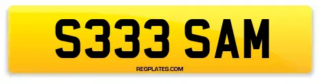 S333 SAM