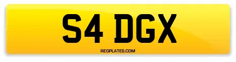 S4 DGX