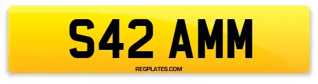 S42 AMM