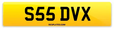 S55 DVX
