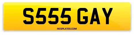 S555 GAY