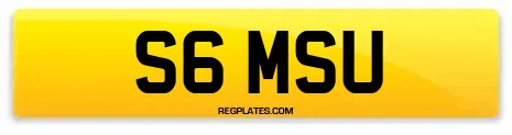 S6 MSU