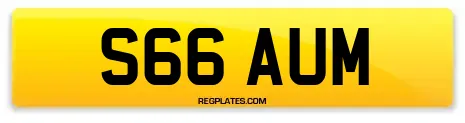 S66 AUM