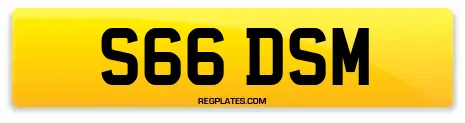 S66 DSM