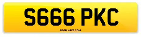 S666 PKC