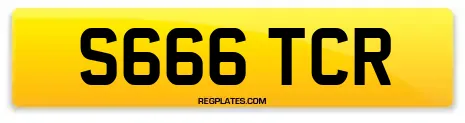 S666 TCR