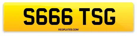 S666 TSG