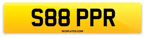 S88 PPR