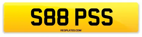 S88 PSS