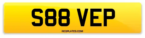 S88 VEP