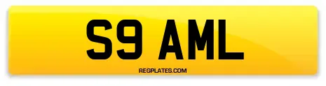 S9 AML