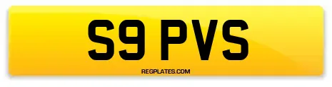 S9 PVS