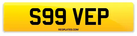 S99 VEP