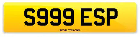S999 ESP