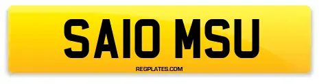 SA10 MSU