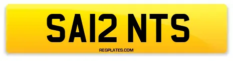 SA12 NTS