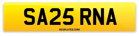 SA25 RNA