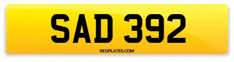 SAD 392