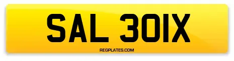 SAL 301X