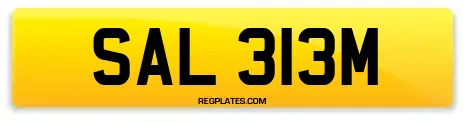 SAL 313M