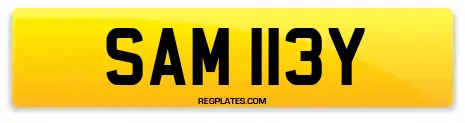 SAM 113Y