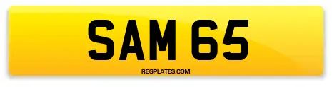 SAM 65