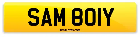 SAM 801Y