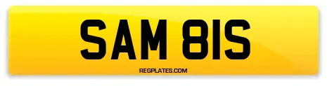 SAM 81S