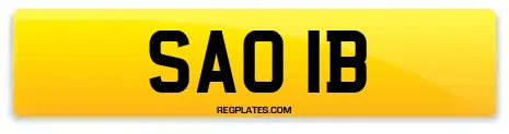 SAO 1B