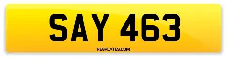 SAY 463