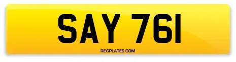SAY 761
