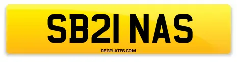 SB21 NAS