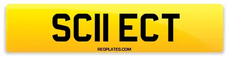 SC11 ECT