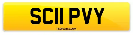 SC11 PVY