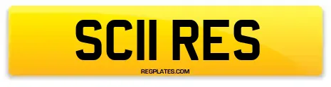 SC11 RES