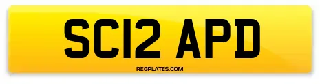 SC12 APD