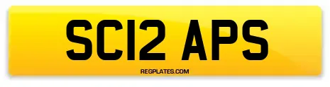 SC12 APS