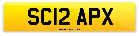 SC12 APX