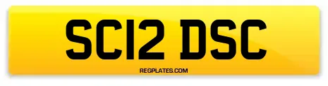 SC12 DSC