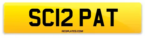 SC12 PAT