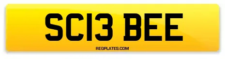 SC13 BEE